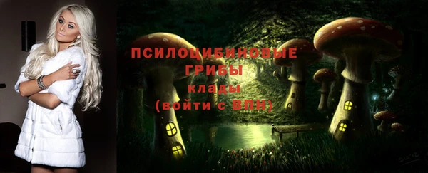 герыч Арсеньев