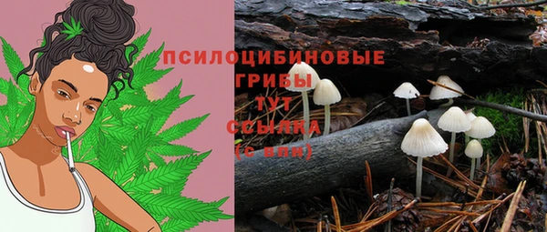 мет Армянск
