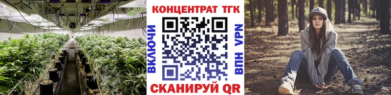 ТГК концентрат  Судогда 