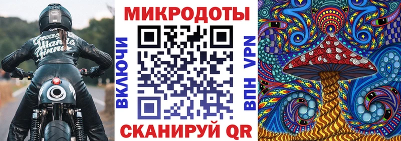 цена наркотик Судогда Псилоцибиновые грибы Psilocybine cubensis